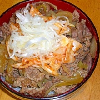 マネっこ牛丼^^;